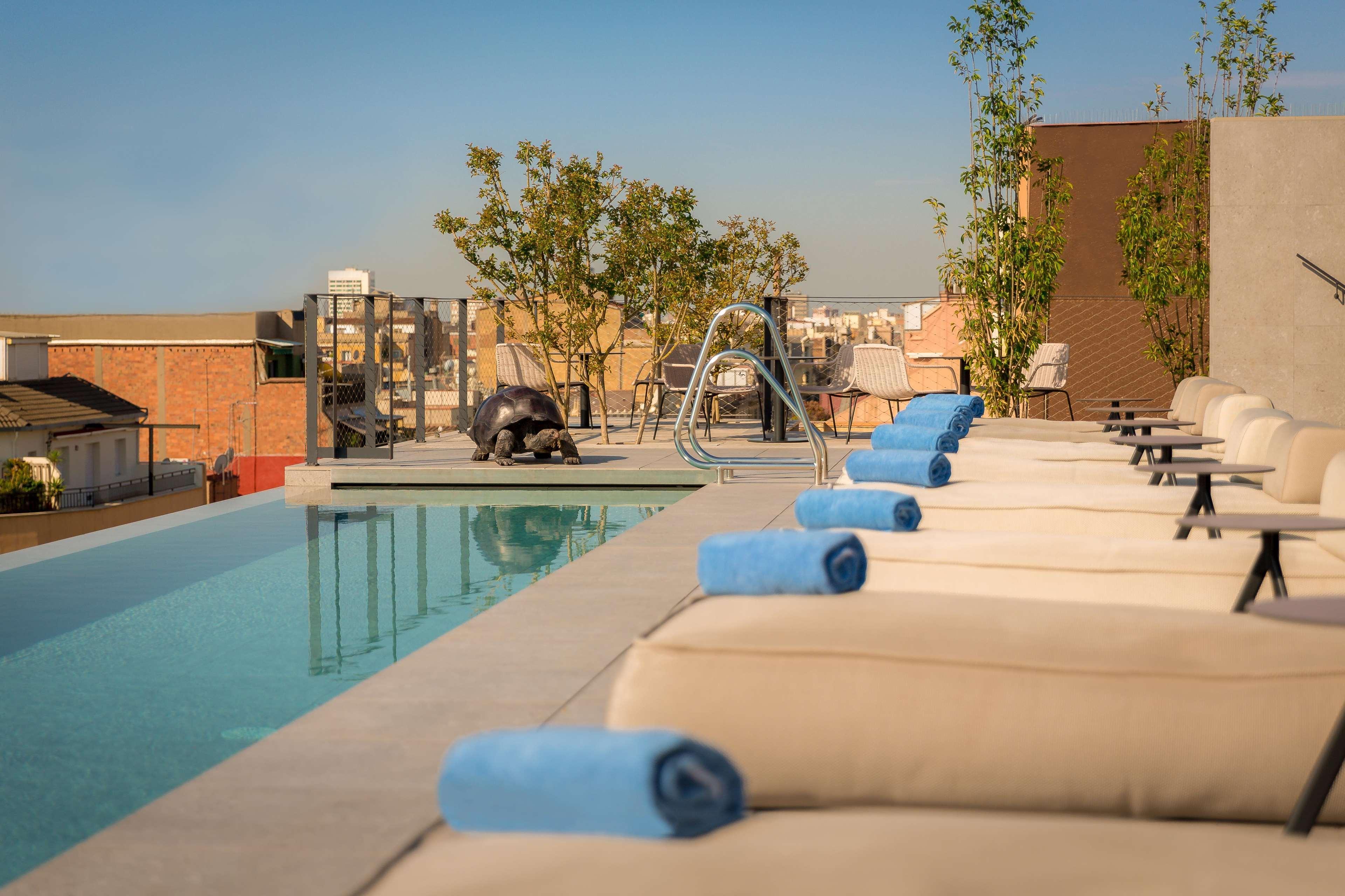 فندق أوهلا إيكزامبل برشلونة المظهر الخارجي الصورة The hotel's rooftop pool